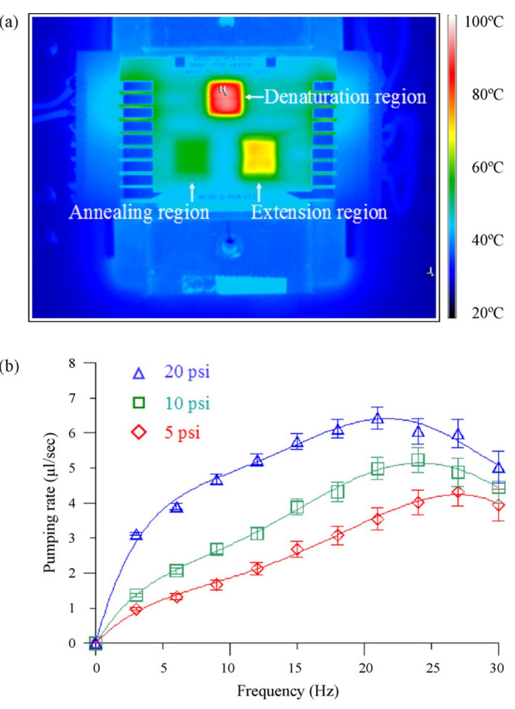 (a) ir image of the microthermal control module equipped