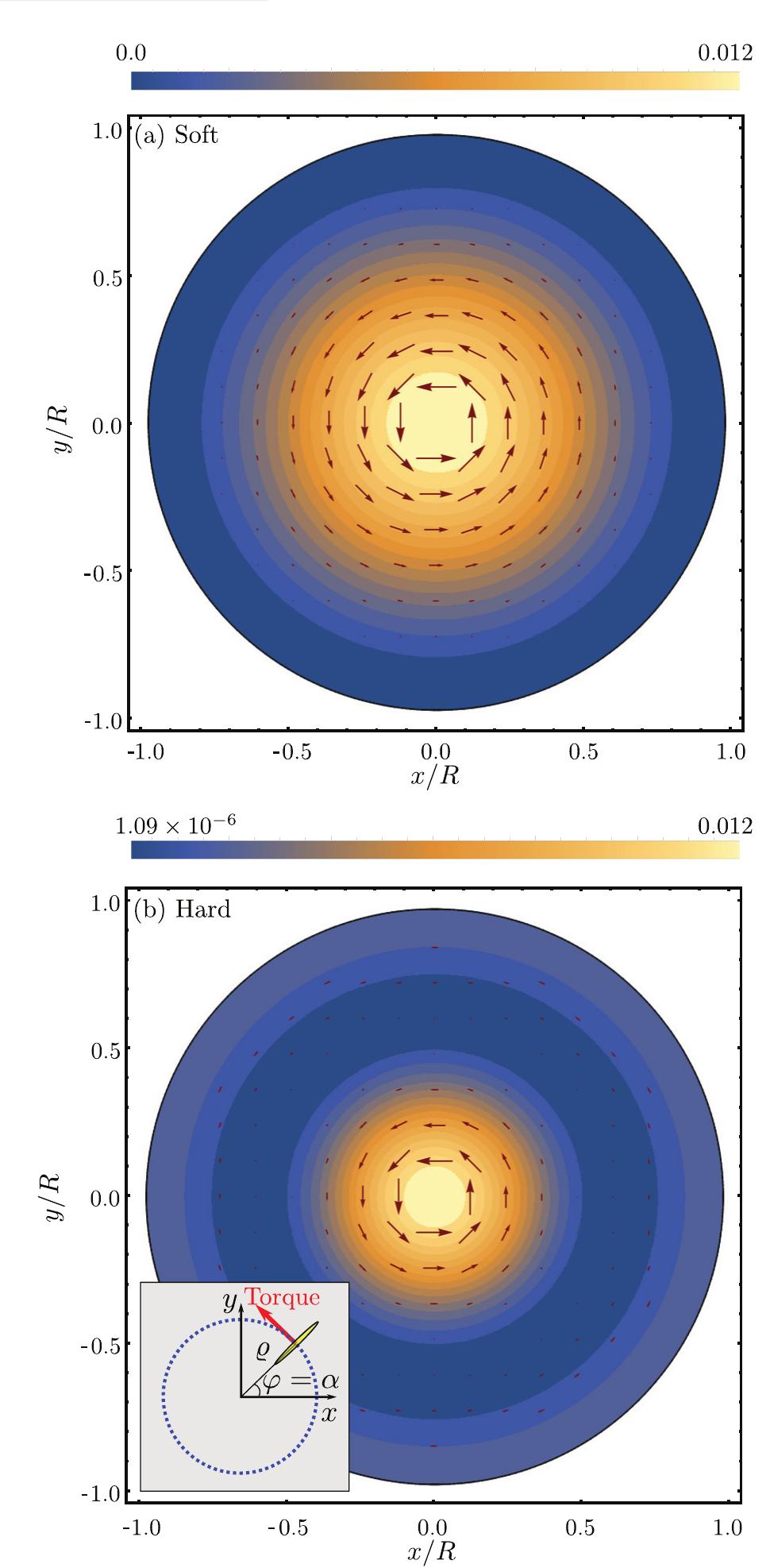 (PDF) Acoustic radiation force and torque on spheroidal particles in an ...