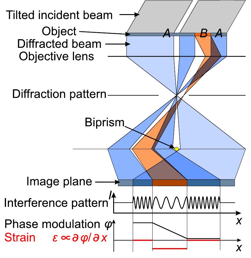 (color online) strain map of (a) the vertical component
