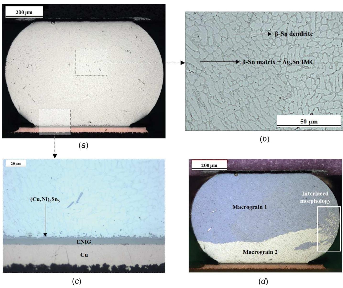 Microstructure and f-sn grains morphologies of the obtained