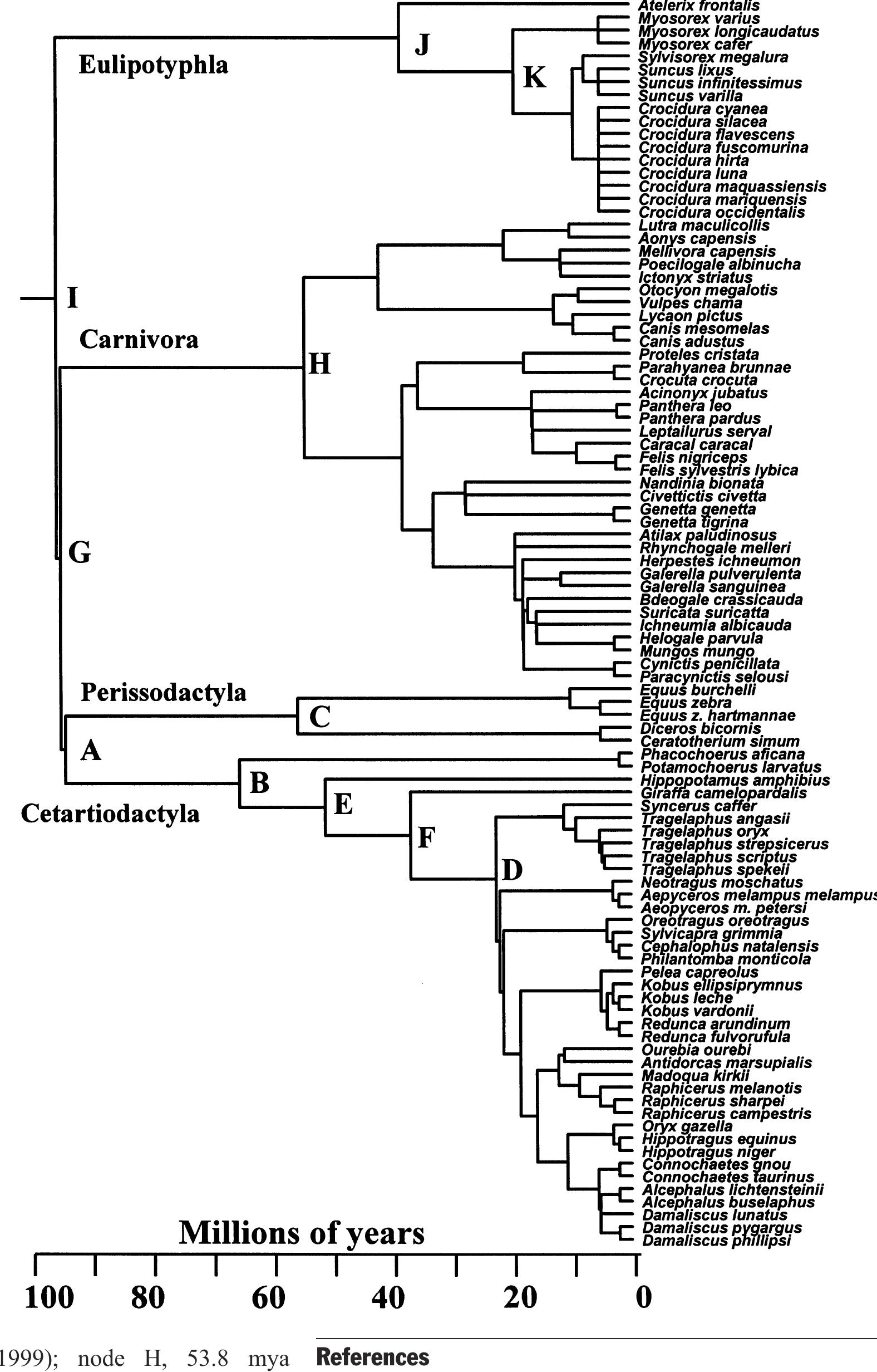 Figure 9 - The evolution of placental mammal body sizes: