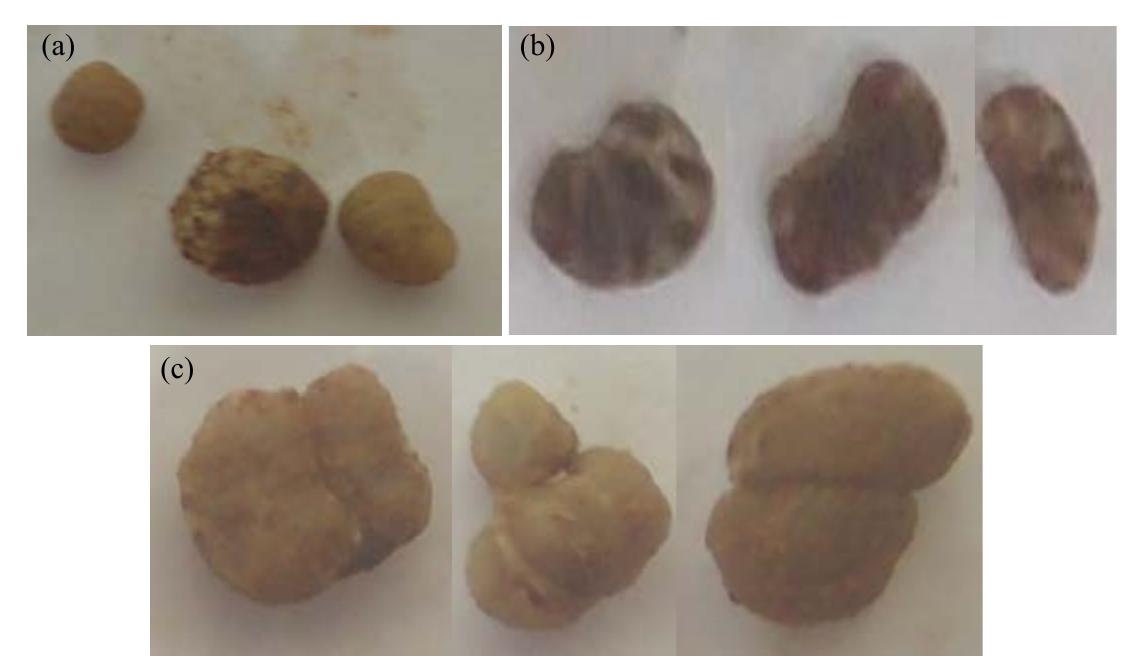 Figure 1 - Occurrence of Nodule Occupancy in