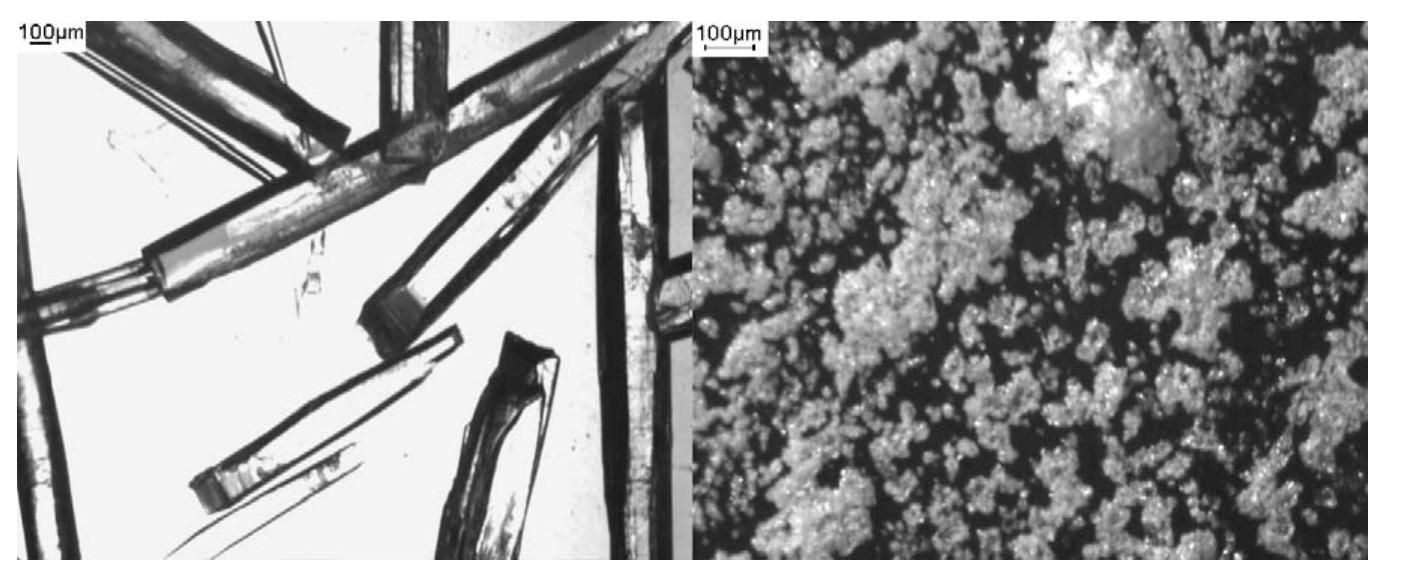 - ftir spectra of monoclinic (upper) and orthorhombic