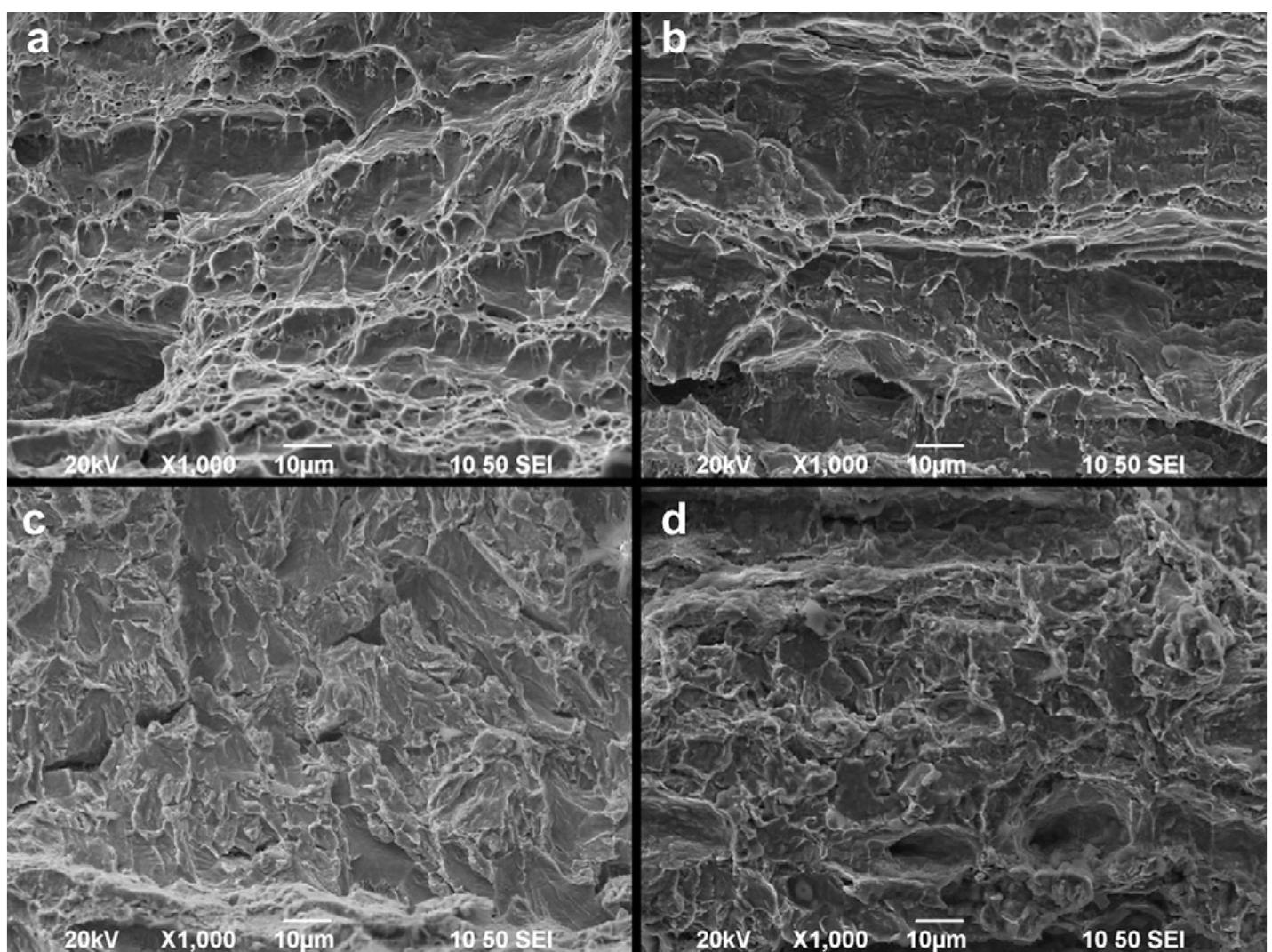 sem micrographs showing the fracture morphology of x52