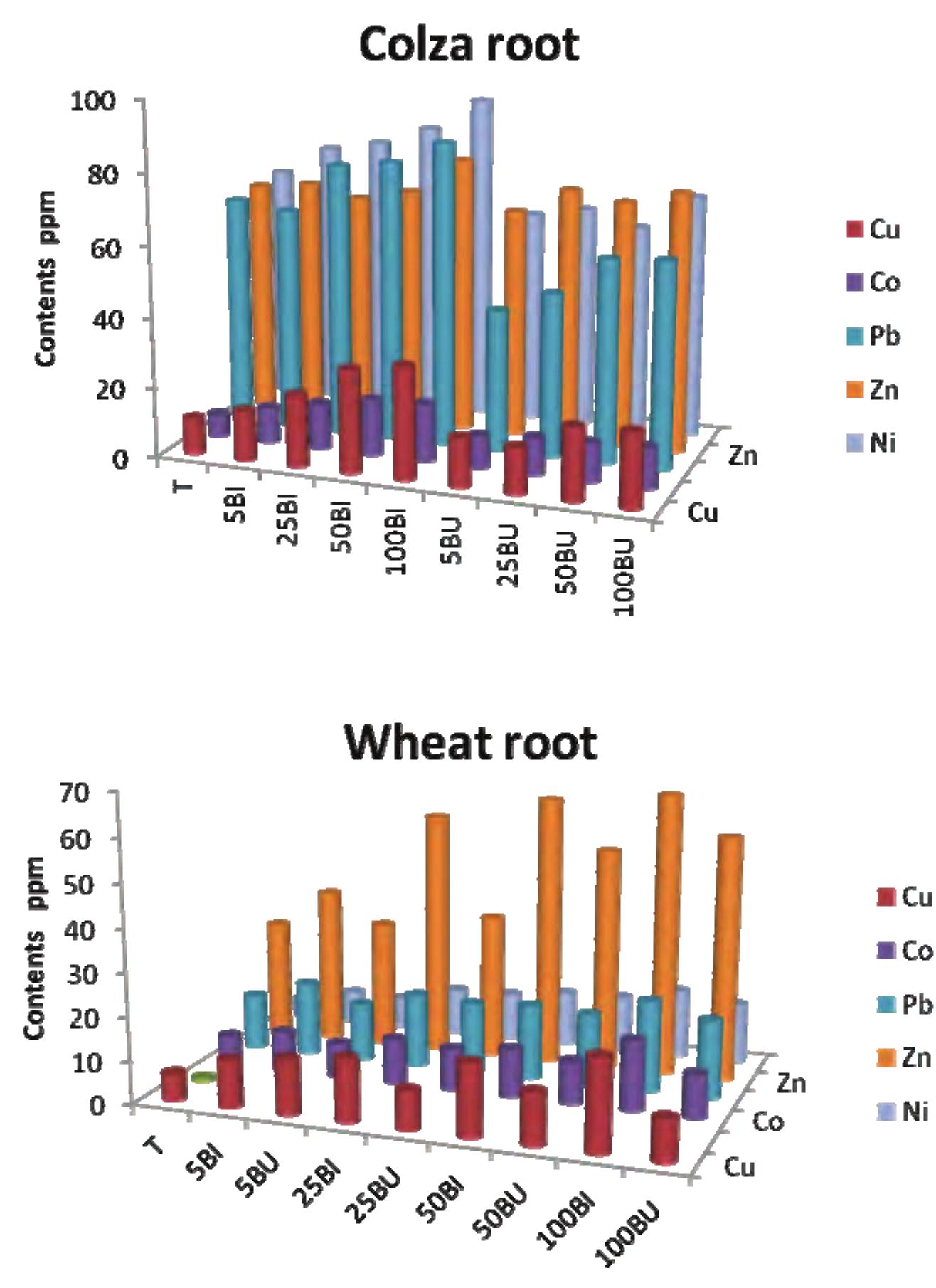 Colza Roots (PDF) Impact of heavy metals in sewage sludge on soil and plants (colza ...