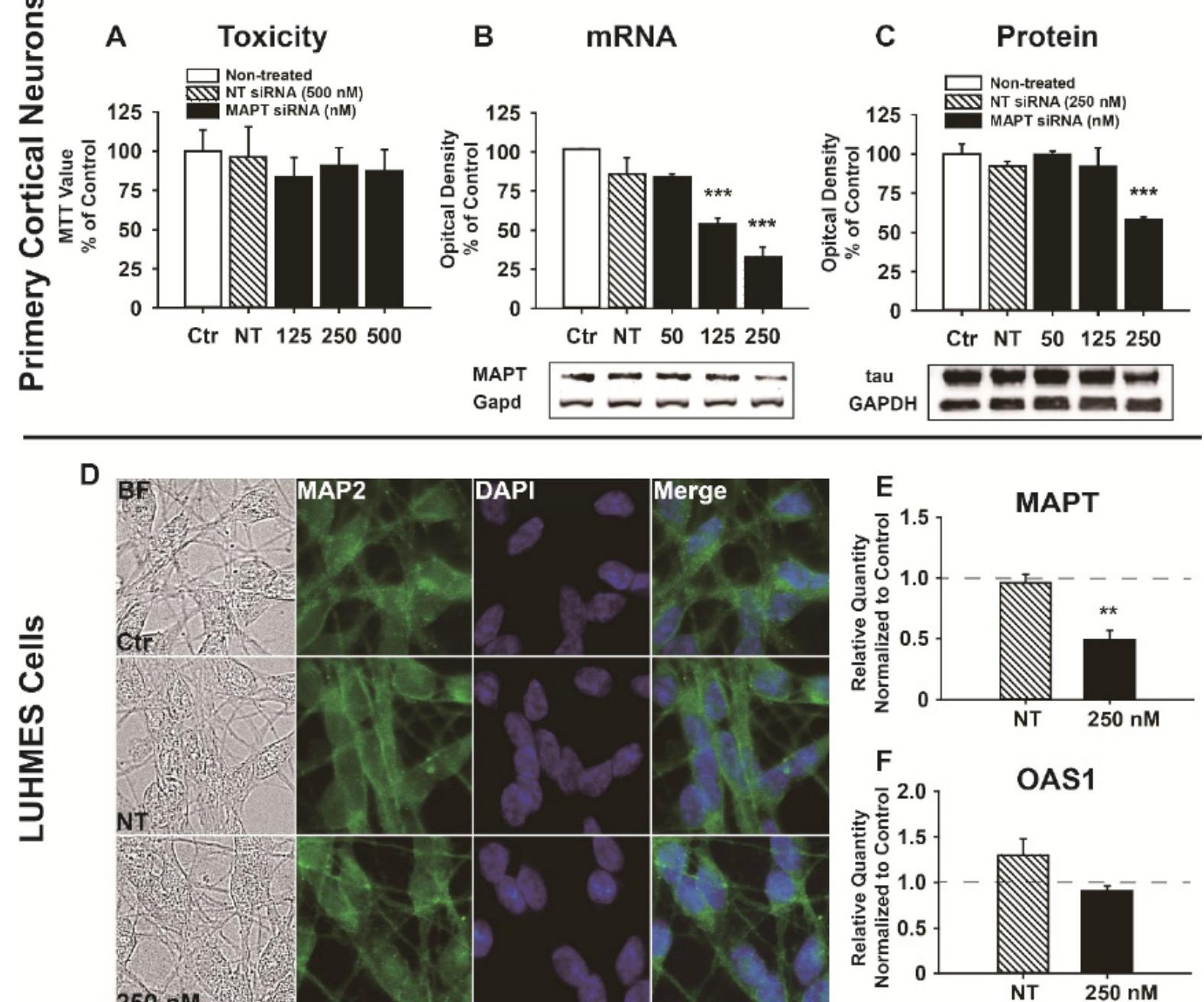 Figure 1 - from Tau Silencing by siRNA in the P301S Mouse