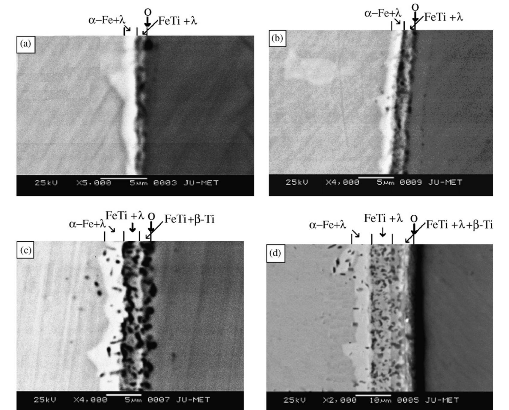 Scanning electron micrographs of the diffusion annealed