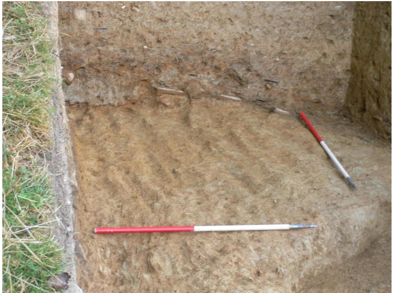 Digging Field Medieval (PDF) Medieval Britain and Ireland — Fieldwork Highlights in 2015