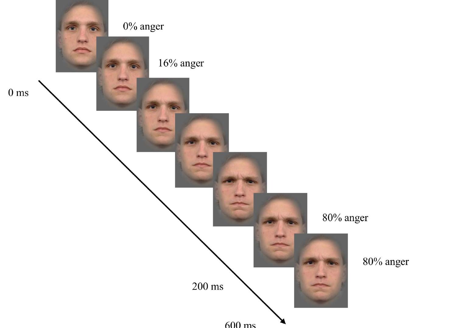 Narlo Time course of development of facial expression display