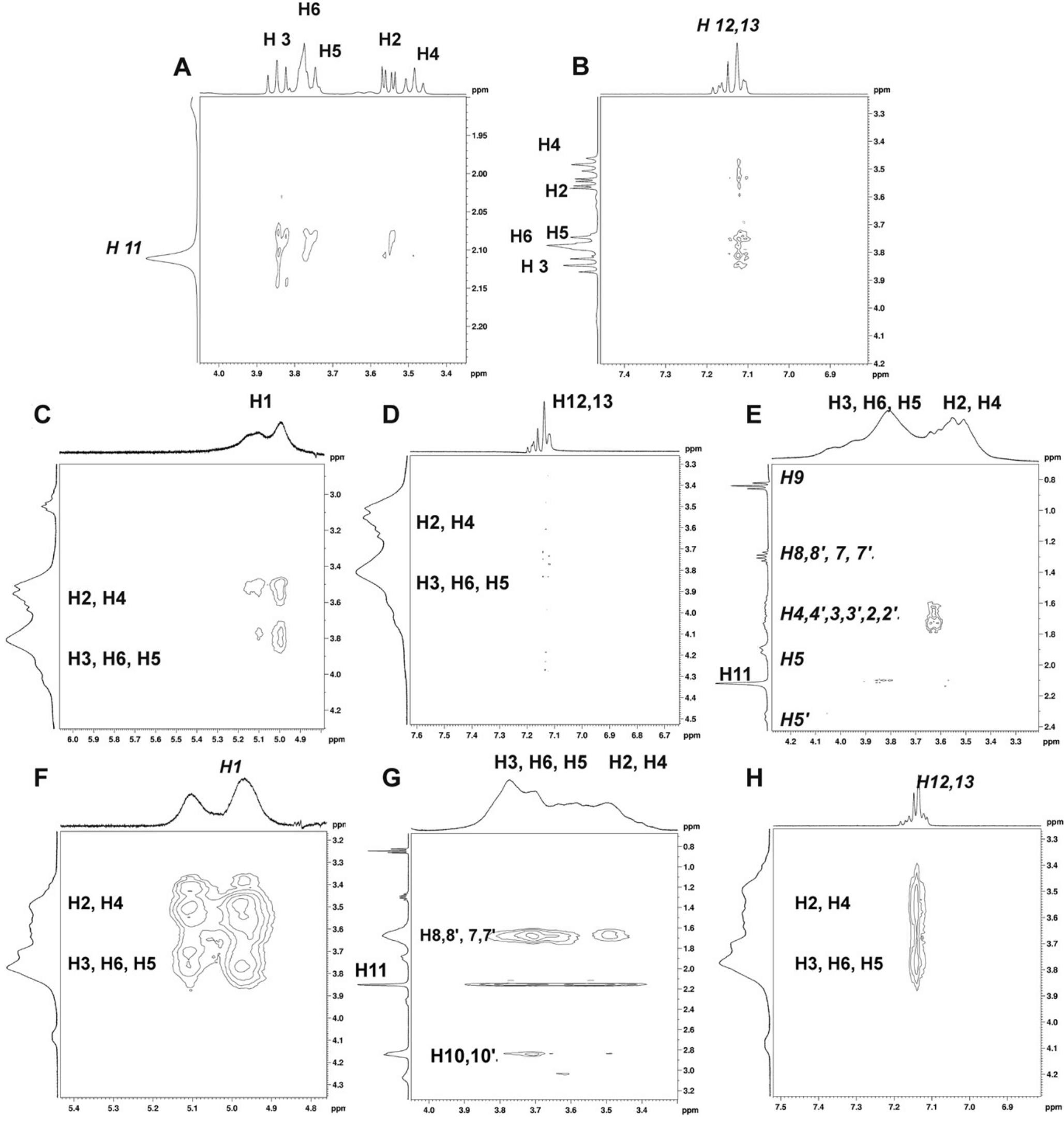 Partial contour plots of 2d roesy spectrum of bvp hci in