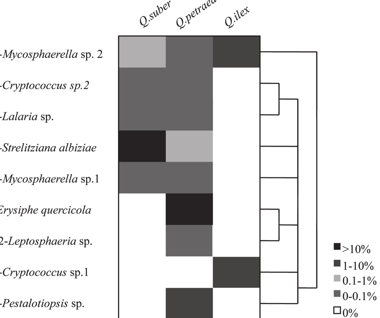 Hierarchically clustered heat map of the taxa distribution
