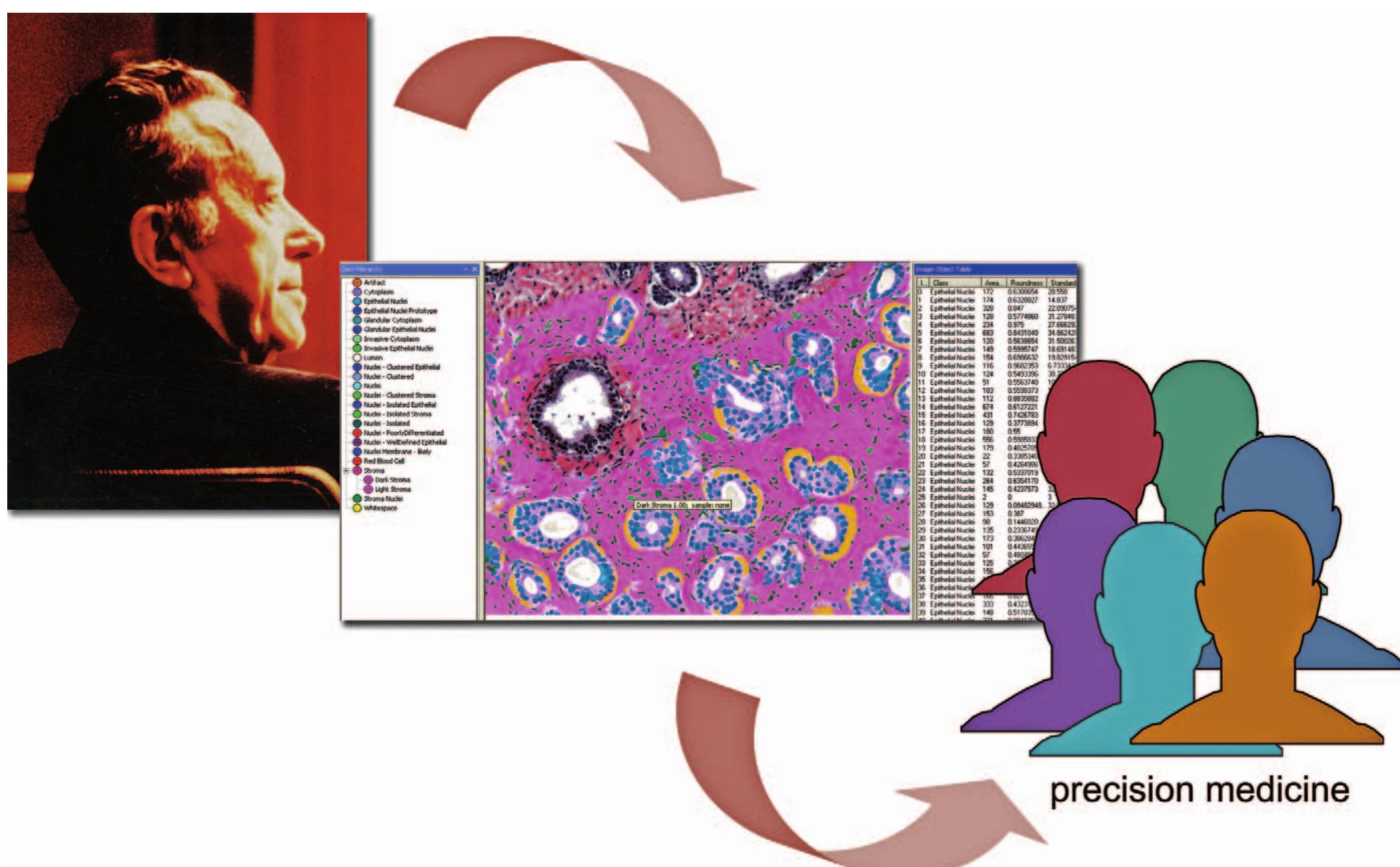 Who Pathography (PDF) Systems approach to the practice of pathology: a new role for the ...