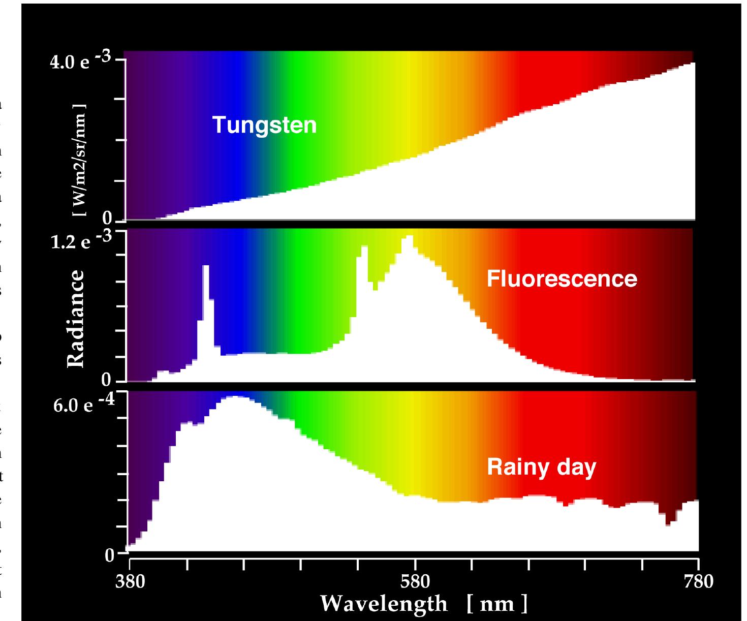 (PDF) The architecture of the colour centre in the human visual brain ...
