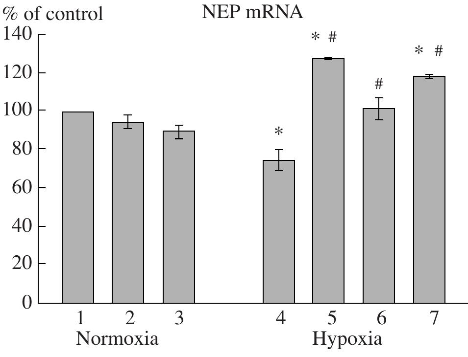 (PDF) The effects of vilon and epithalon peptides on the expression of ...