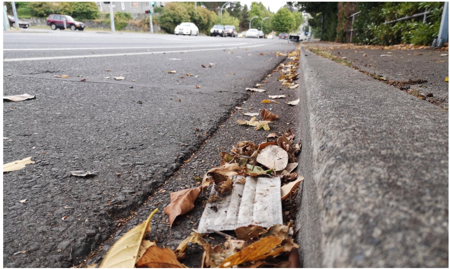 Lacking Report A study by jambeck et a/. assumed a littering rate of 2% of