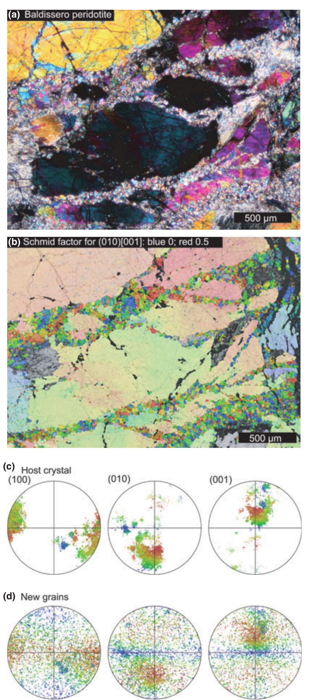 (a) optical micrograph, (b) ebsd map and orientation of