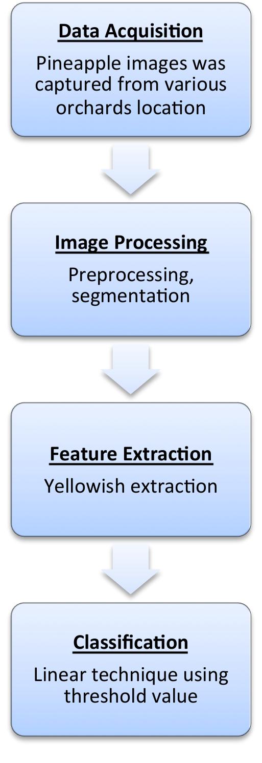 (PDF) Classification of Fresh N36 Pineapple Crop Using Image Processing ...