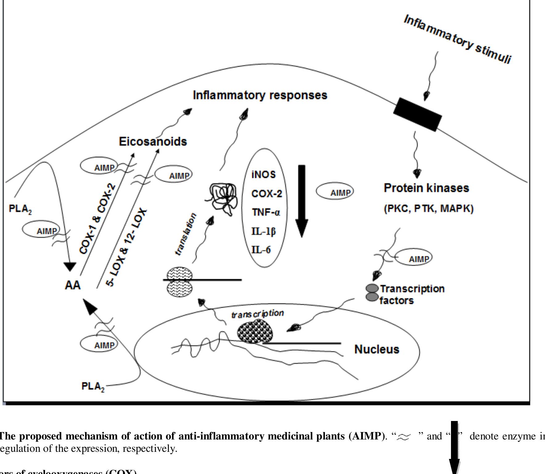 (PDF) Anti-inflammatory medicinal plants and the molecular mechanisms ...