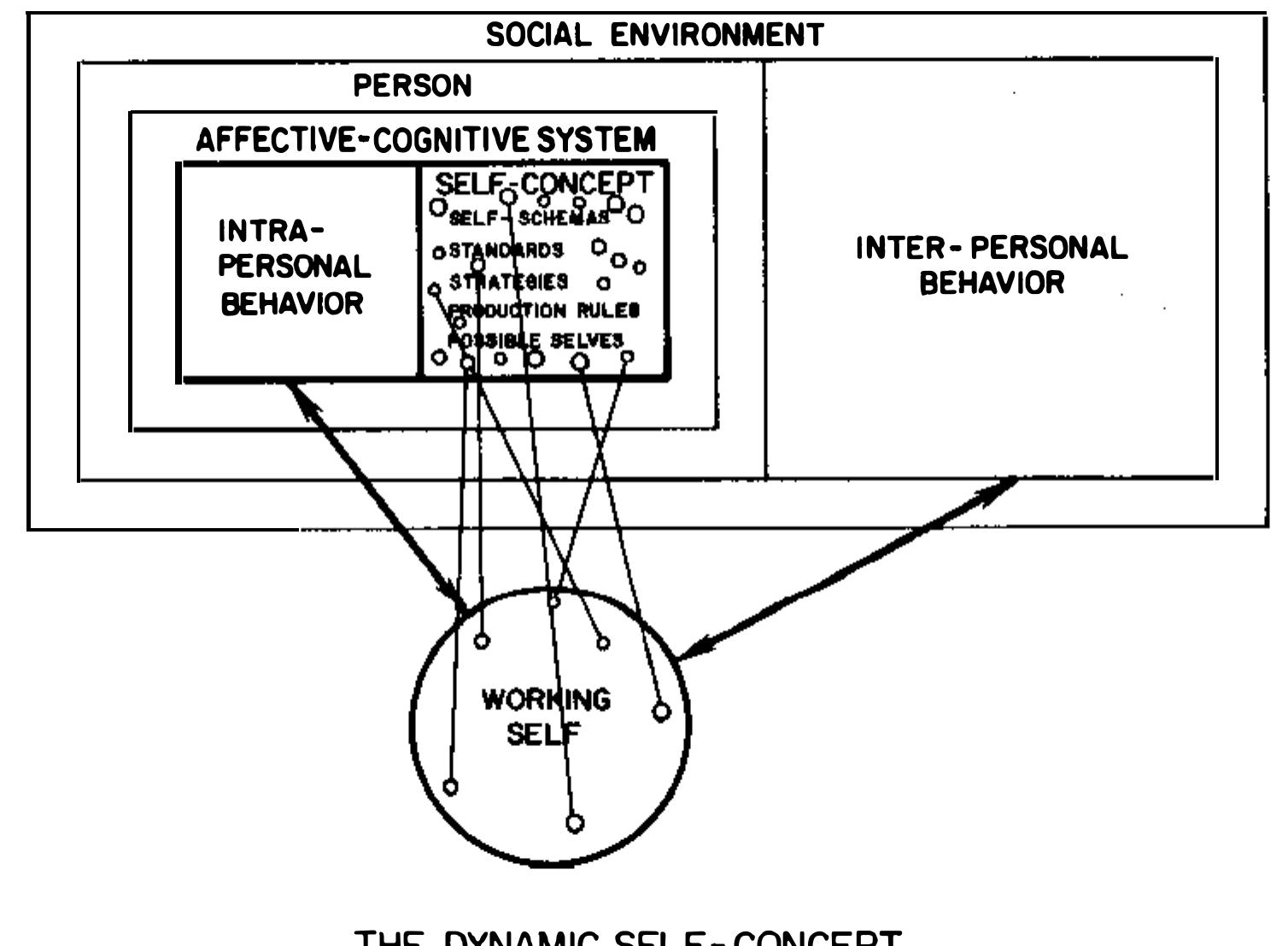 (PDF) The Dynamic Self-Concept: A Social Psychological Perspective