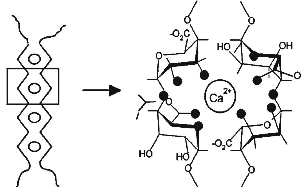 Figure 1 - from Compressive and shear properties of alginate