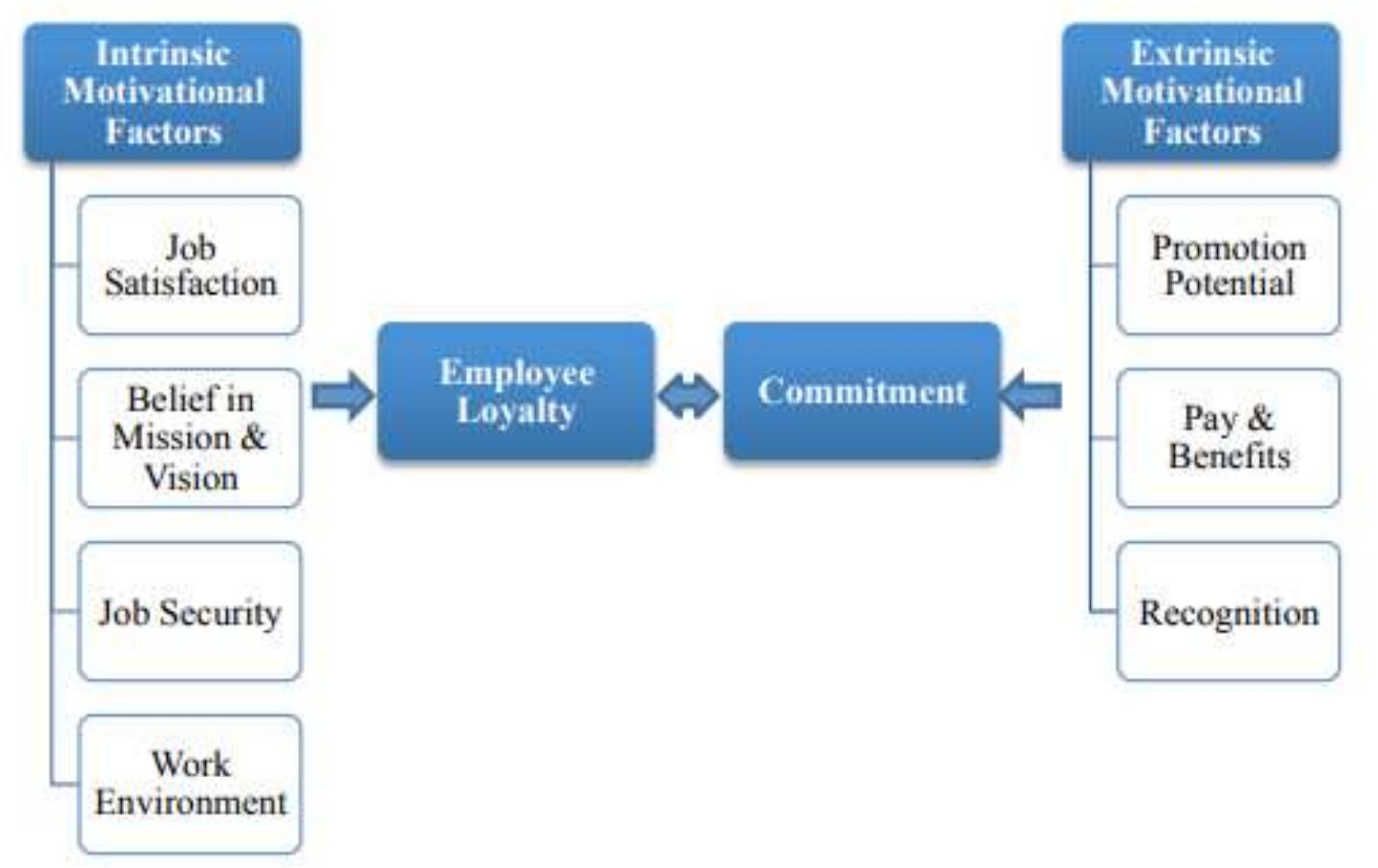 H2015 Expla Homberg et al. (2015), posit that organizations engage in