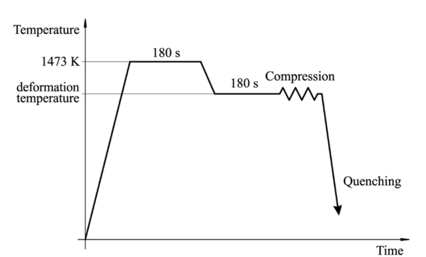 Schematic diagram of the hot compression process slika 1.