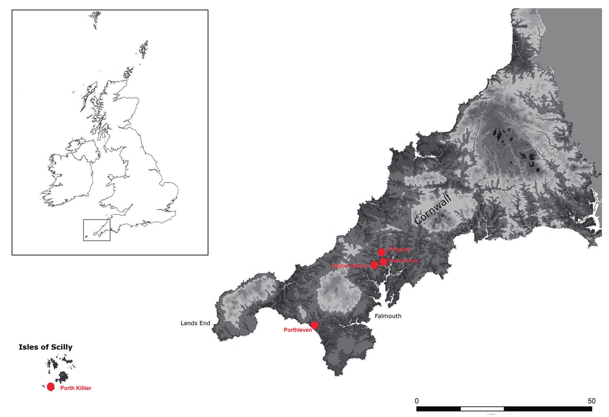 Mining Map Roche Cornwall 3 detail from 1876 os map (area of excavation shown in red