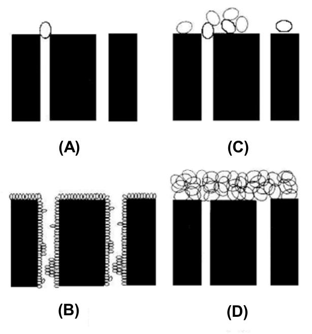 Figure 1 - from Pore blocking mechanism for the recovery of