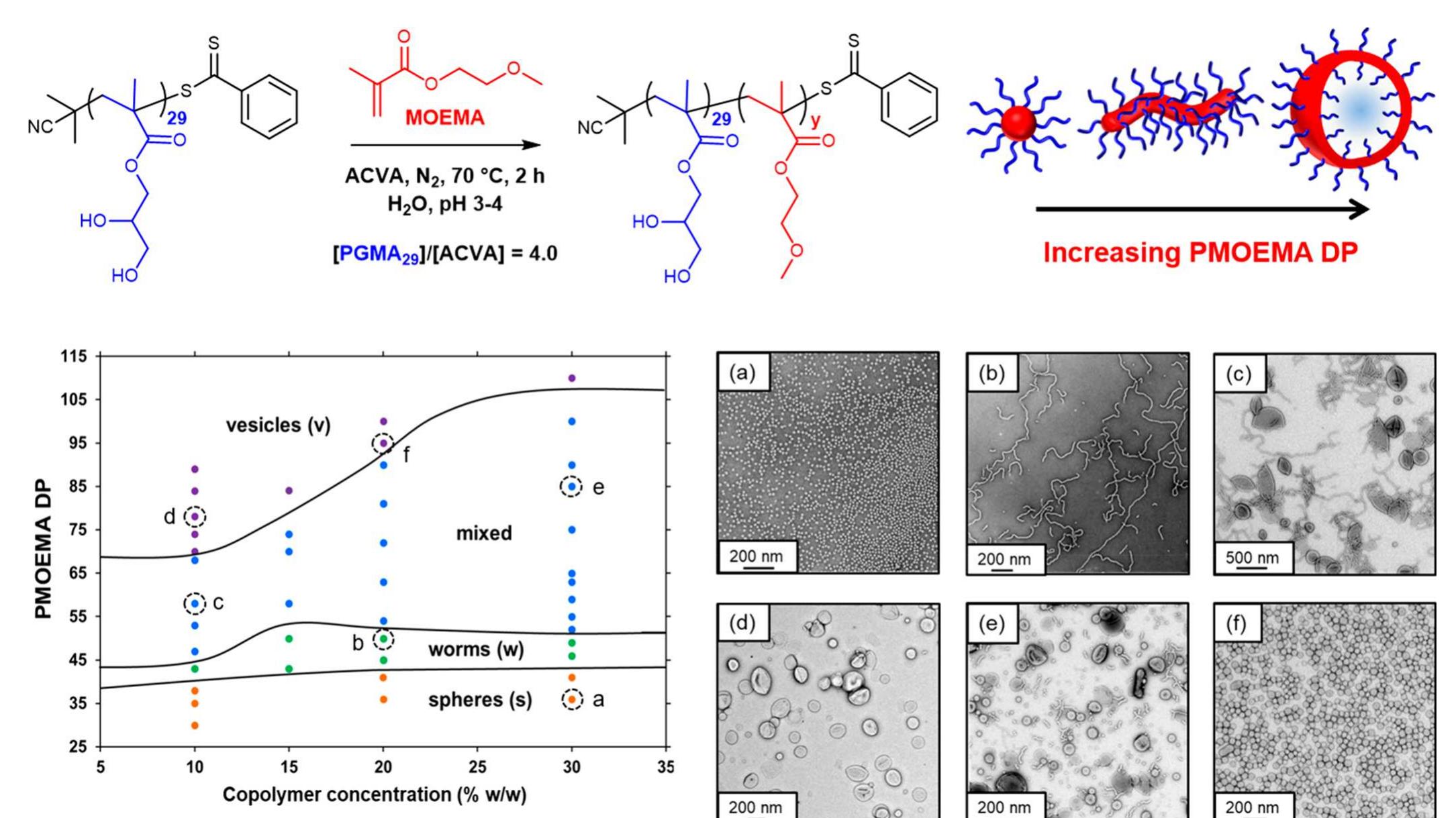 (PDF) In Situ SAXS Studies During RAFT Aqueous Emulsion Polymerization