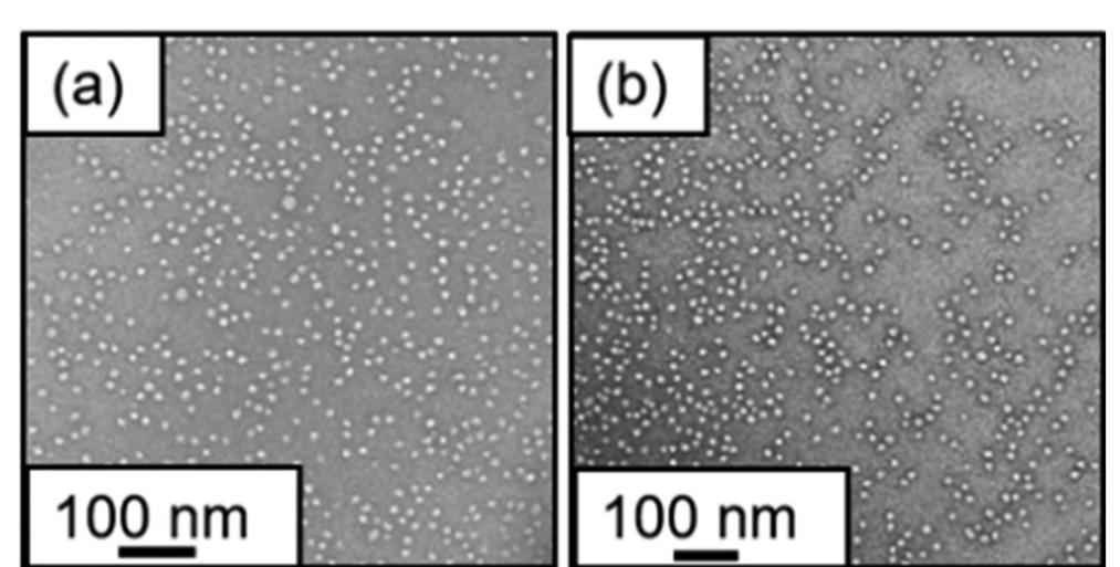 (PDF) In Situ SAXS Studies During RAFT Aqueous Emulsion Polymerization