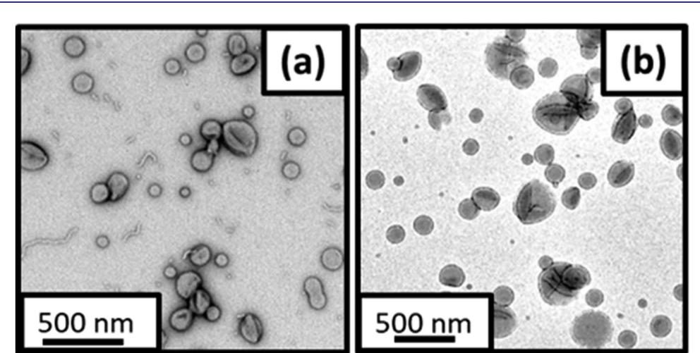 (PDF) In Situ SAXS Studies During RAFT Aqueous Emulsion Polymerization