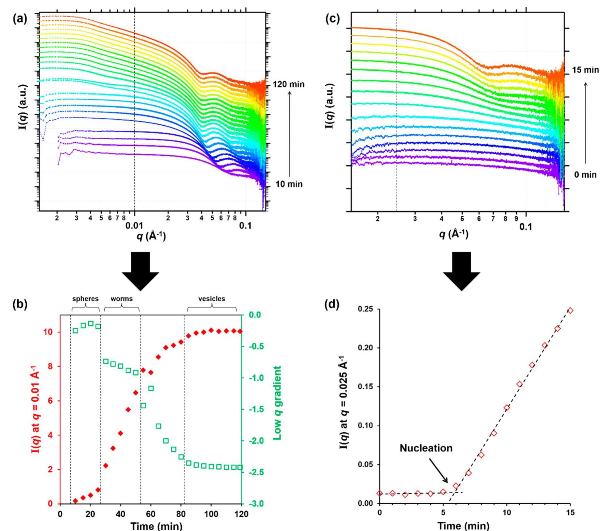(PDF) In Situ SAXS Studies During RAFT Aqueous Emulsion Polymerization