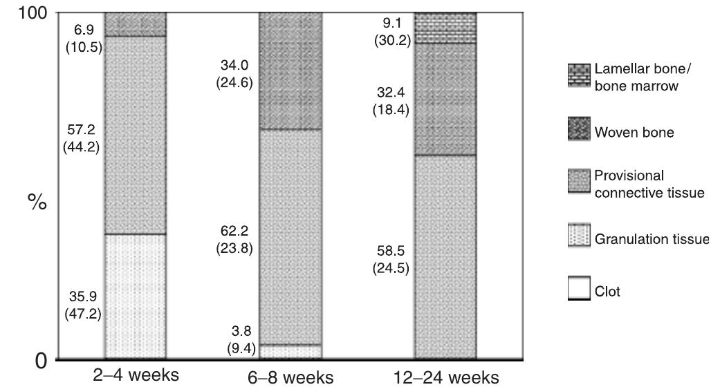 (PDF) Modeling and remodeling of human extraction sockets
