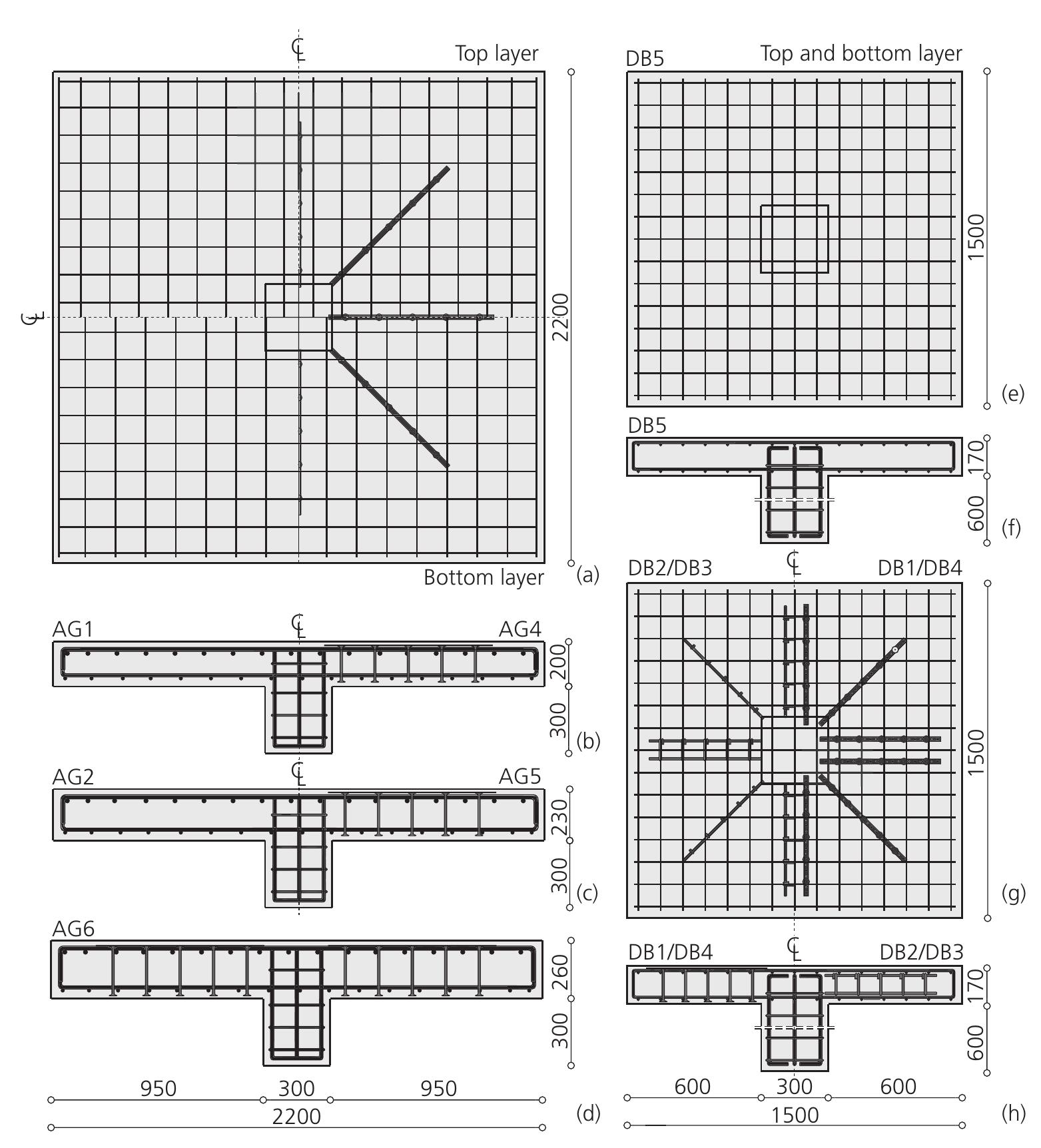 Geometry and layout of the longitudinal reinforcement of the