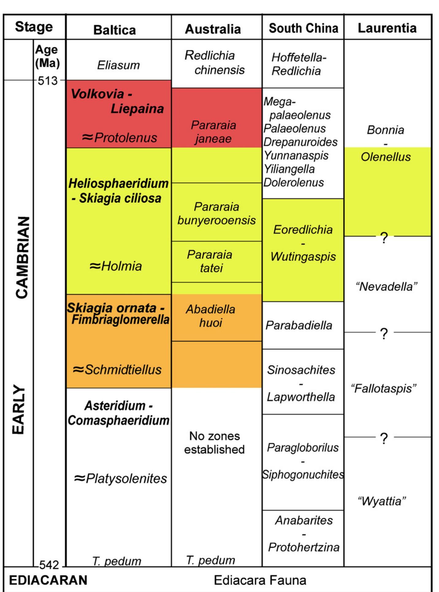 Correlation chart of the early cambrian faunal zones in
