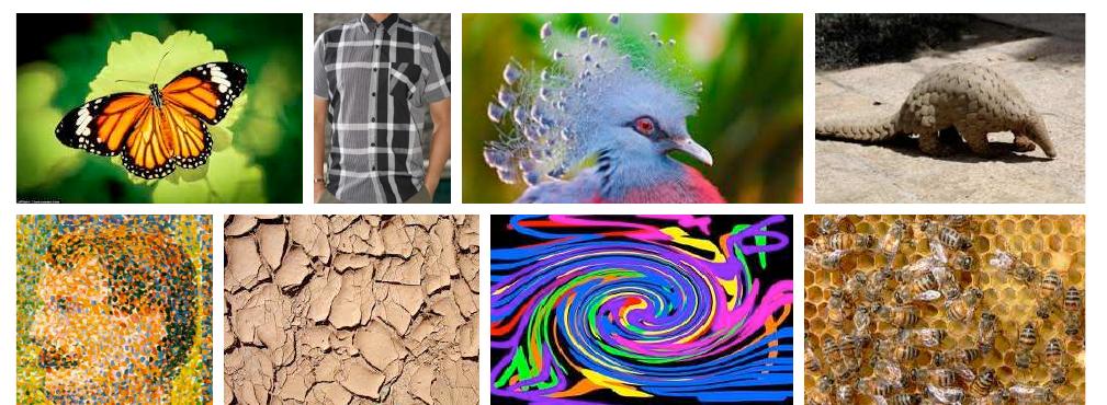 Figure 1 - from Describing Textures in the Wild
