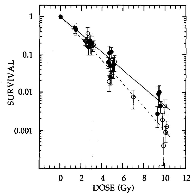 Clonogenic cell survival curves for the ls-174t cells after