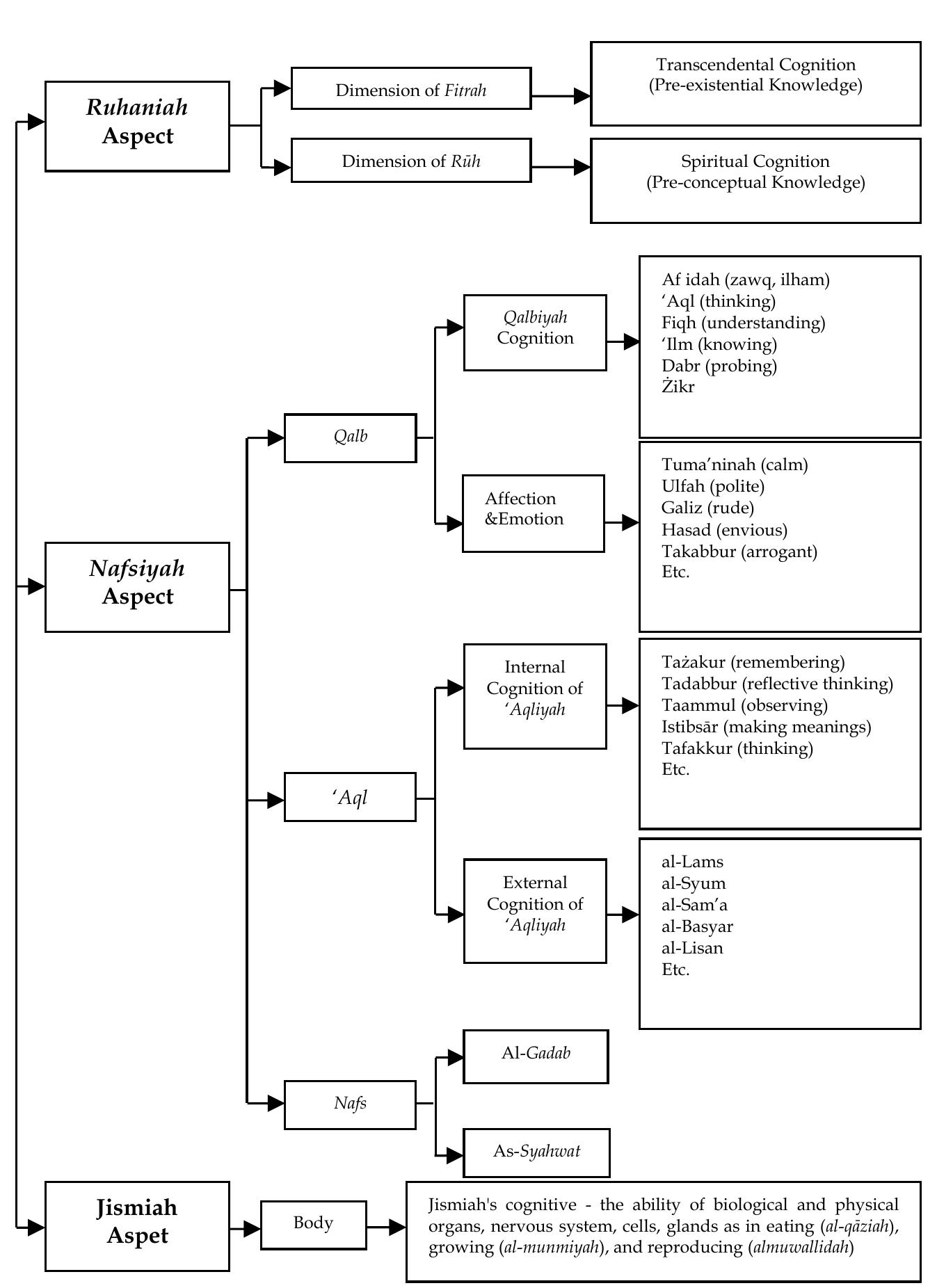 Quran Structure The structure of human power based on understanding of the