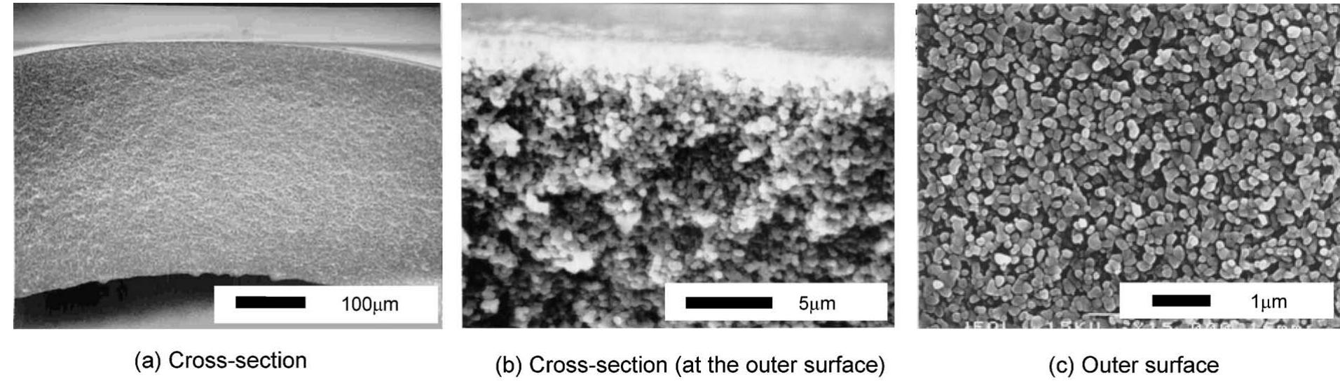 Sem images of the cross-section and outer surface in a