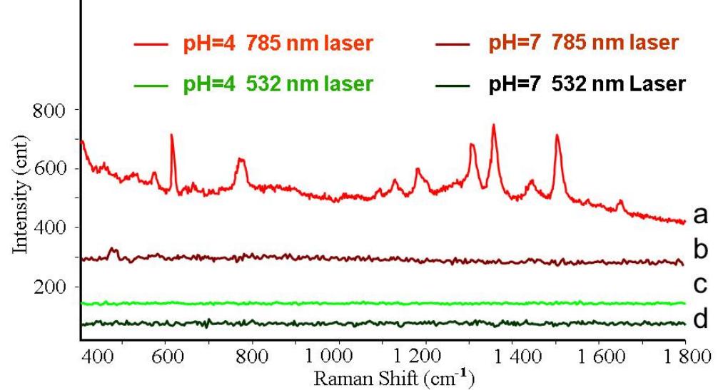 Raman spectra of gold nanosphere and 10 um r6g using 532 nm