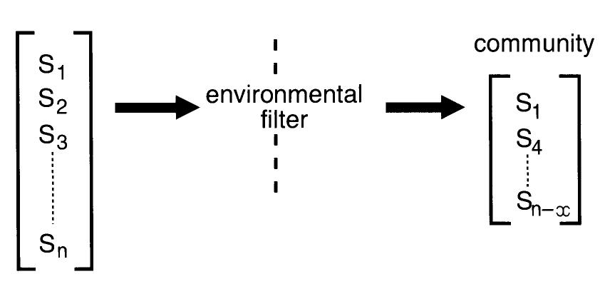 (PDF) Assembly and response rules: two goals for predictive community ...