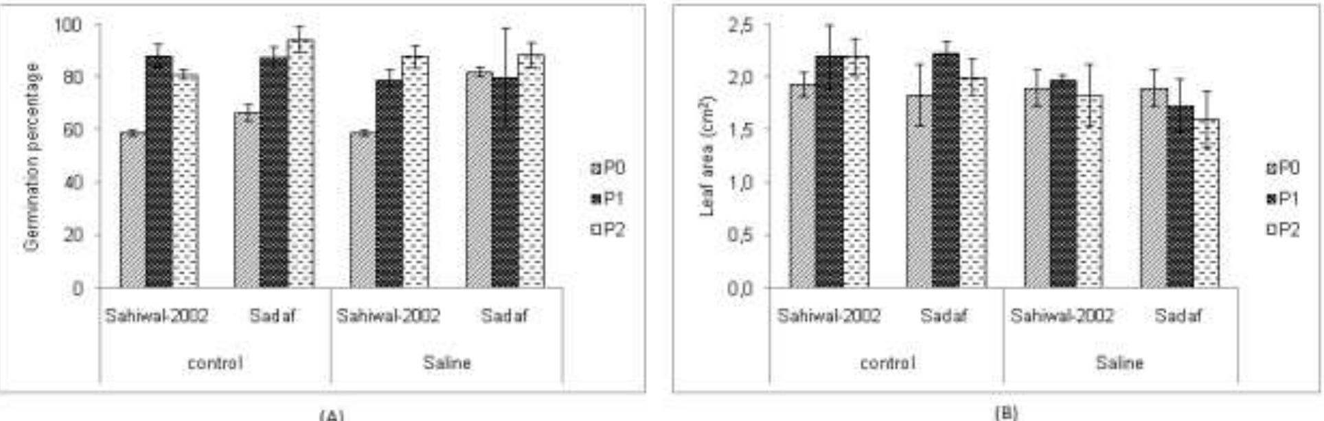 Priming effect changes in the (a) germination percentage and