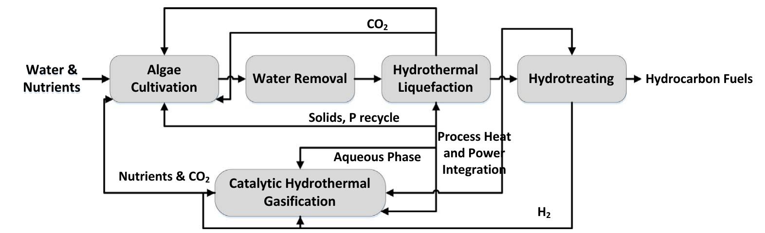 Process flow diagram of htl process of algal biomass/wet