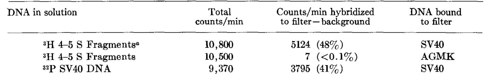 @ The *H 4-5 S fragments (labeled from 5 to 20 min after the addition of HU) were isolated from a preparative sucrose gradient.  DNA-DNA Hysripization or 4-5 S Fragments to DNA FILTERS  TABLE 1 