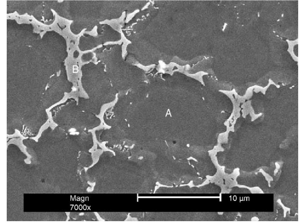 Secondary electron sem image of the microstructure of hpdc
