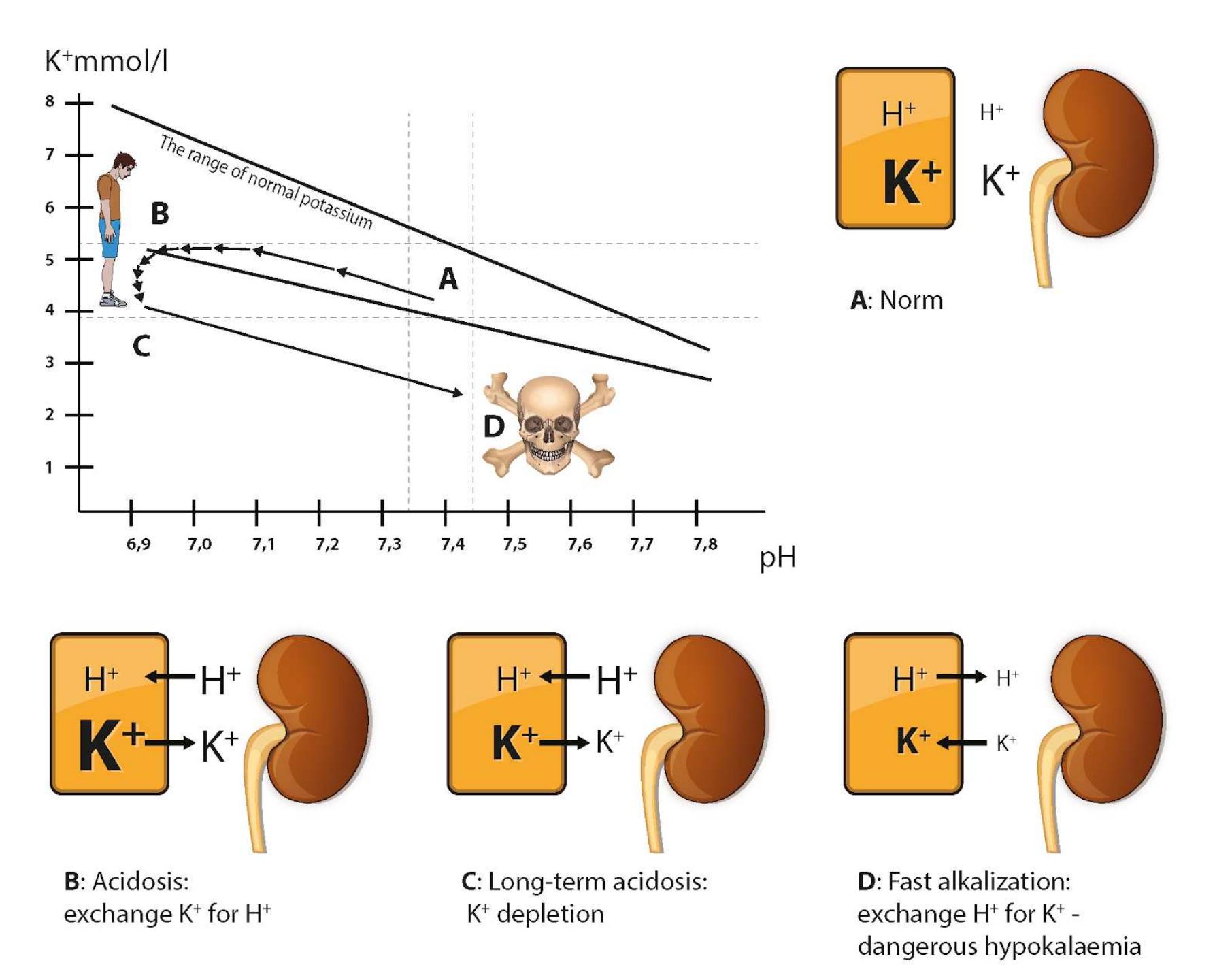 Figure 6 - from Acid-Base Equilibrium Modeling Based on the