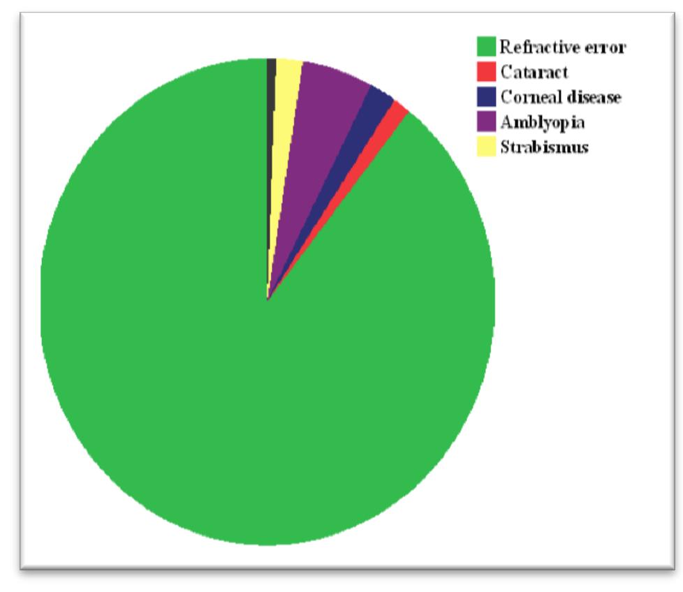 (PDF) Prevalence and causes of visual impairment and blindness among ...
