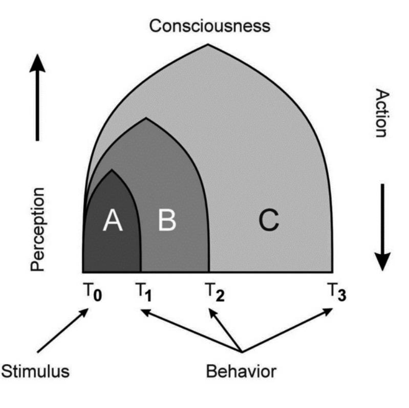 Microgenetic Study Example (PDF) Creative Potential of Microgenetic Theory