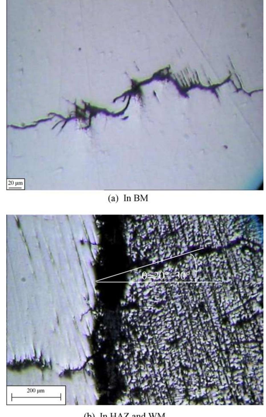 Typical surface crack morphology after scc tests in solution