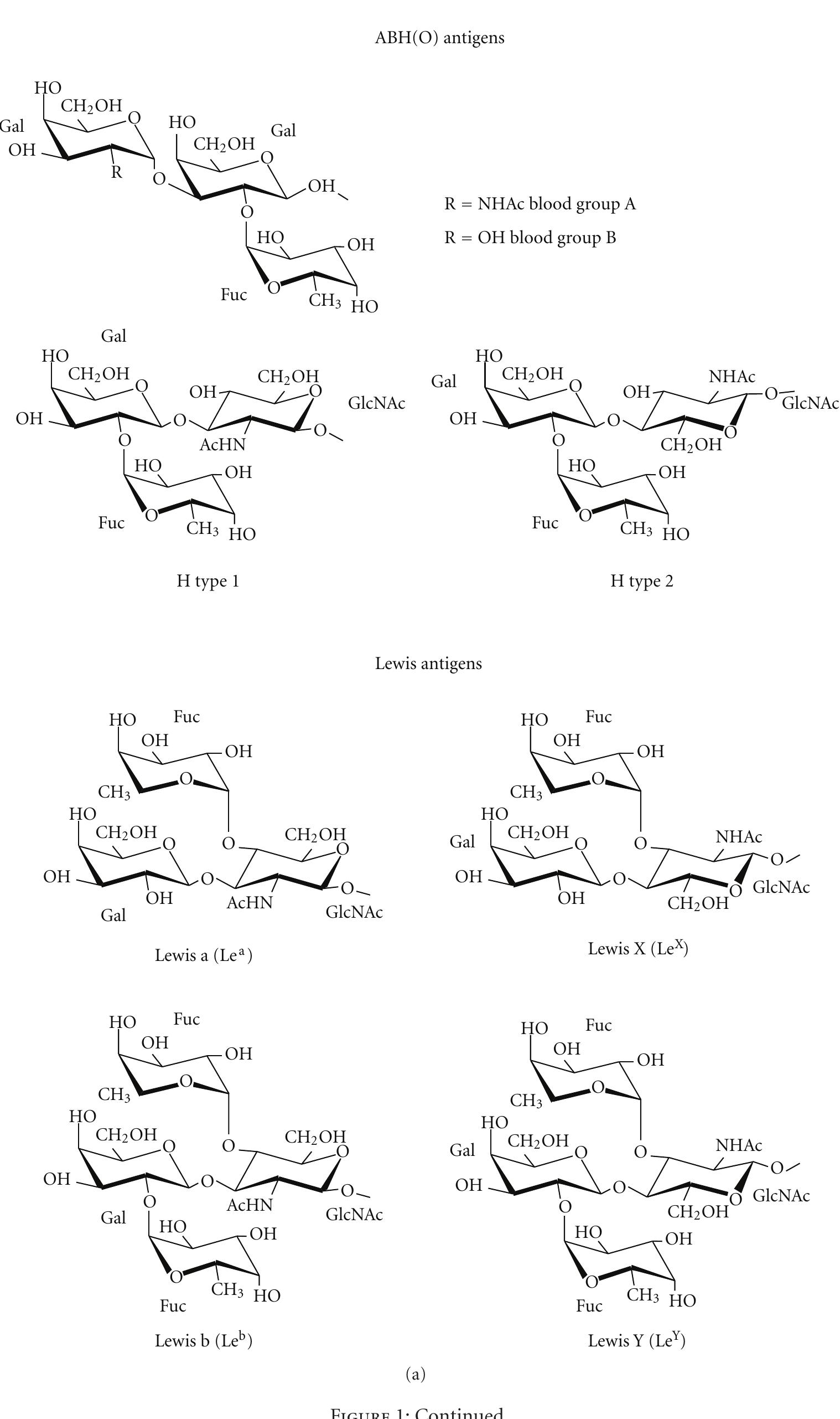Figure 1 - Conformational Search on the Lewis X Structure by